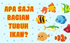 Ikan Mas Sekolah Anak Tk Di Indonesia